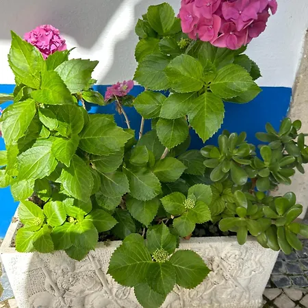 Casa Do Poço Óbidos