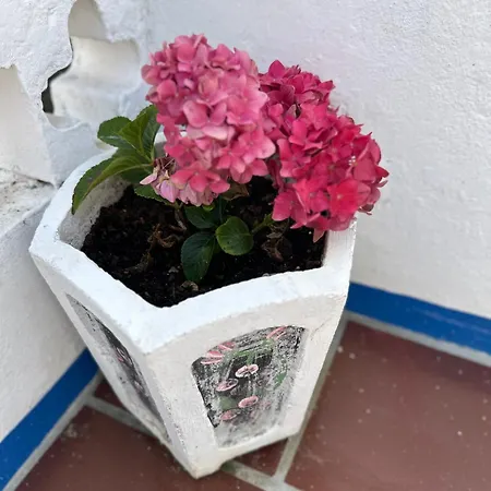 Casa Do Poço Alojamento de Acomodação e Pequeno-almoço Óbidos