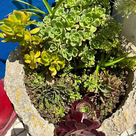 Casa Do Poço Óbidos