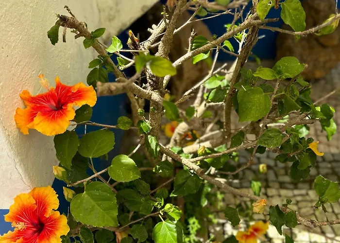 Casa Do Poco 4* Obidos